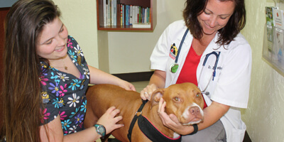 Meet our Veterinary Staff
